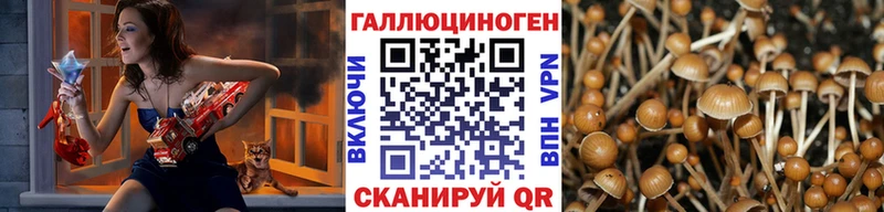 Псилоцибиновые грибы мицелий  Купить закладки  Новосиль 